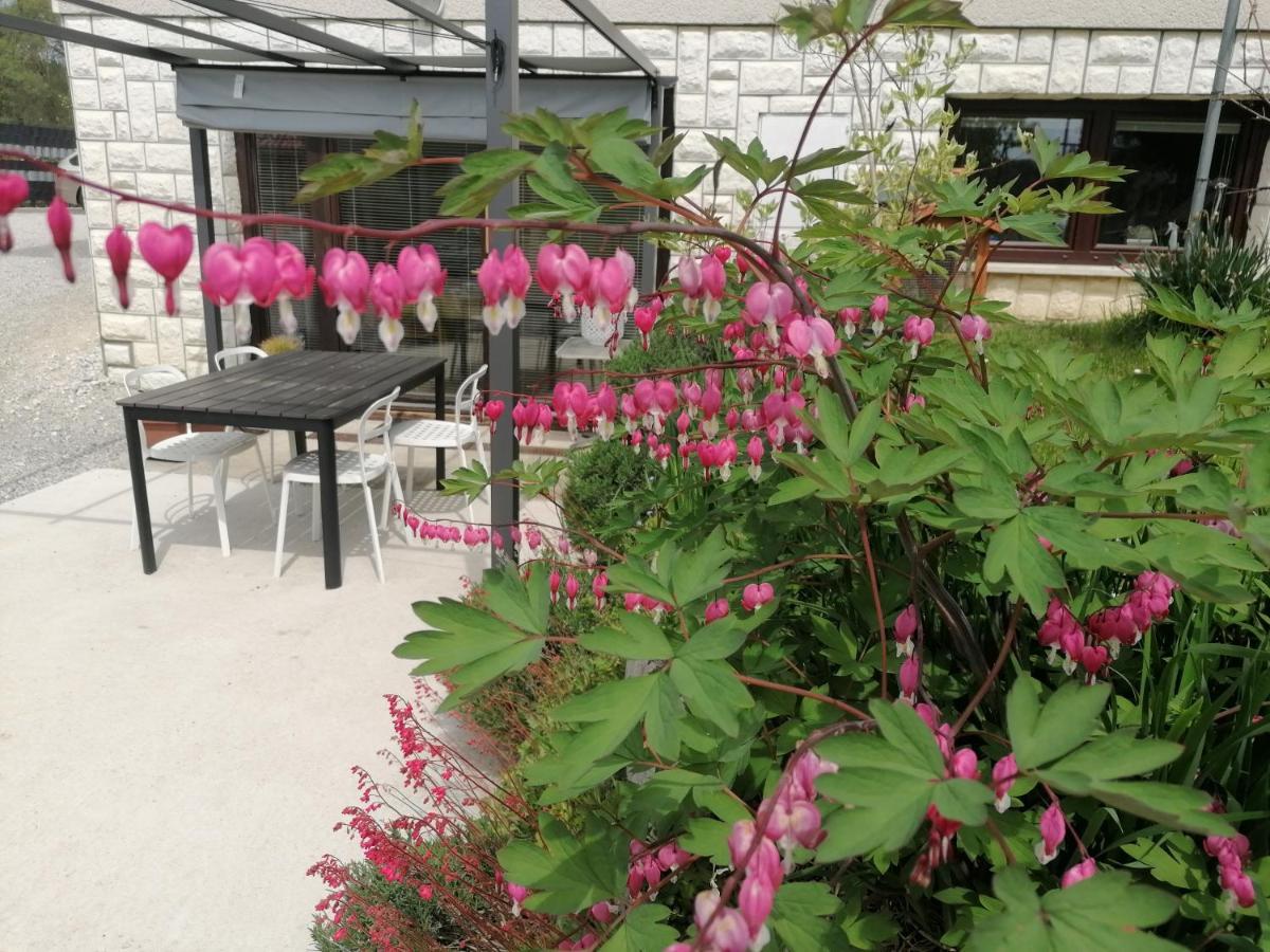 Apartments Bukor Lukovica pri Domžalah Extérieur photo